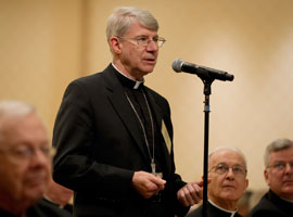 Bishop Daniel Conlon of Joliet asks a question during the November 2012 meeting. CNS Photo/Nancy Phelan Weichec.