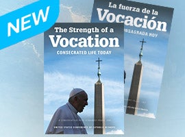 Strength of a Vocation Book Cover