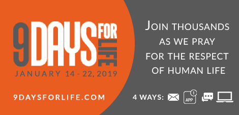 9 Days for Life Banner