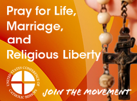 pray-life-marriage-liberty-montage