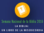national bible week spanish montage thumb