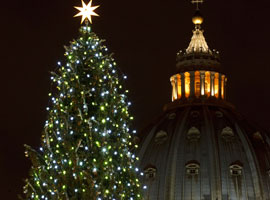The Christmas tree in St. Peter's square in 2011.  CNS Photo/Paul Haring