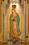 Our Lady of Guadalupe