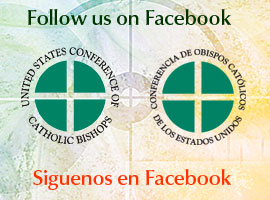 usccb-facebook-montage