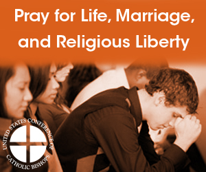 life marriage religious liberty-300x250-web-button-orange.jpg