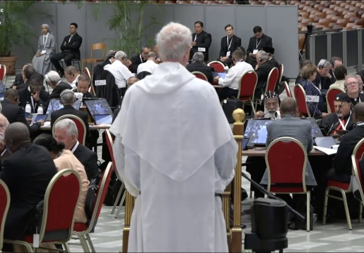 Voices from the synod on synodality