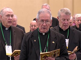USCCB General Assembly 2019 June