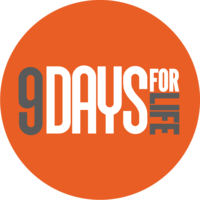 9 days logo