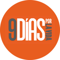 9 dias logo