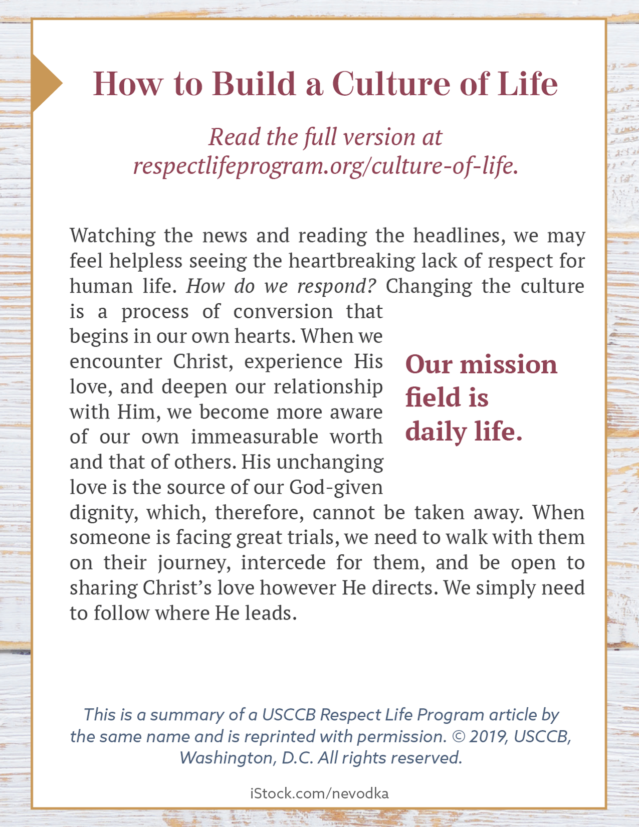 rlp-19-bulletin-box-culture-of-life.png