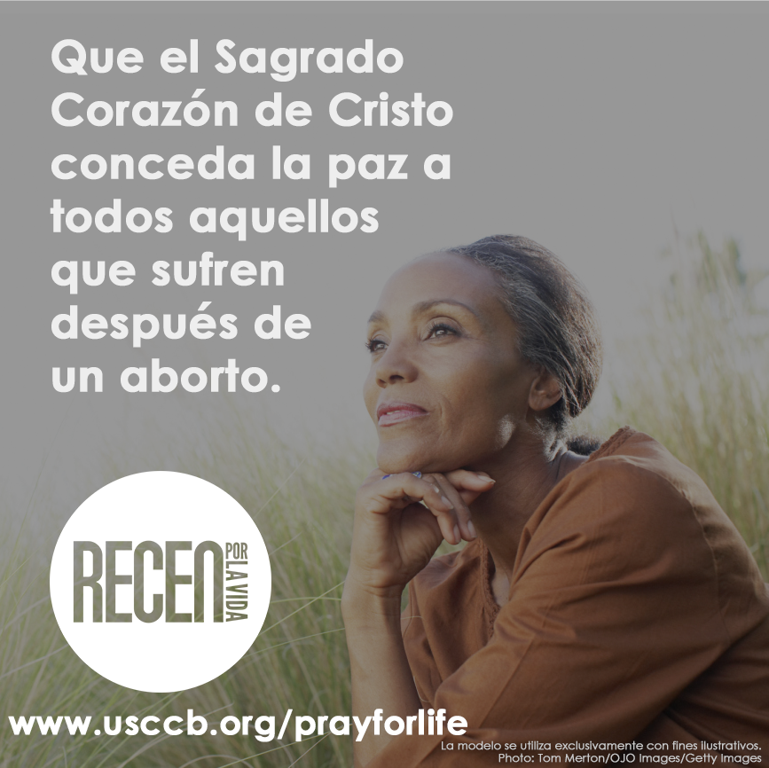 9Days_April_spanish USCCB