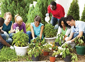 Young people planting a garden together.