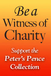 pp-2020-web-170x250