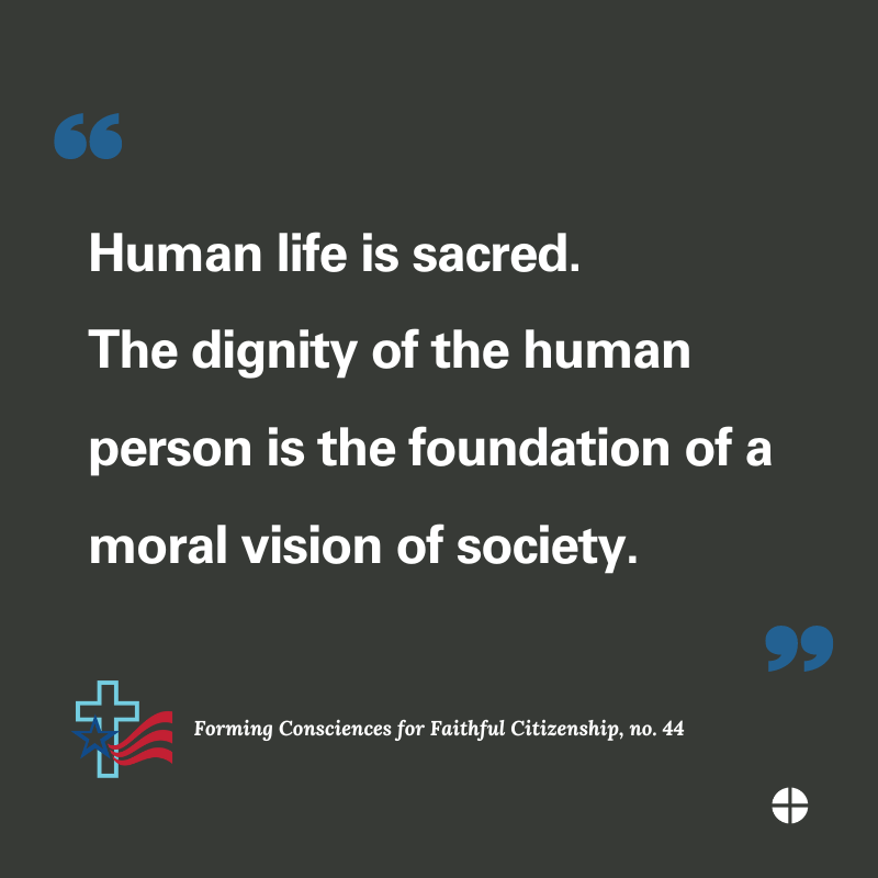 Forming Consciences for Faithful Cititzenship Social Media Campaign ...