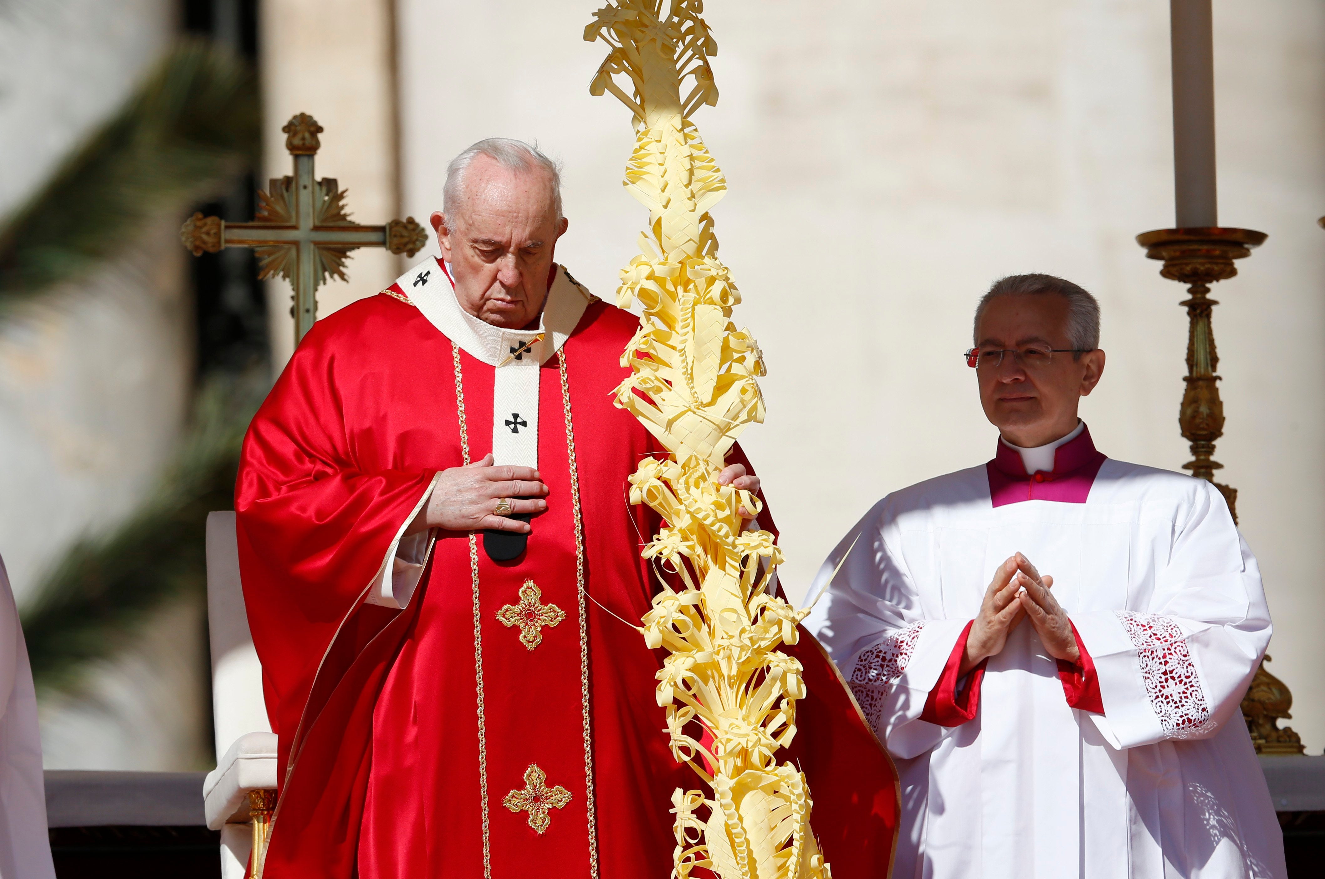 pope palms