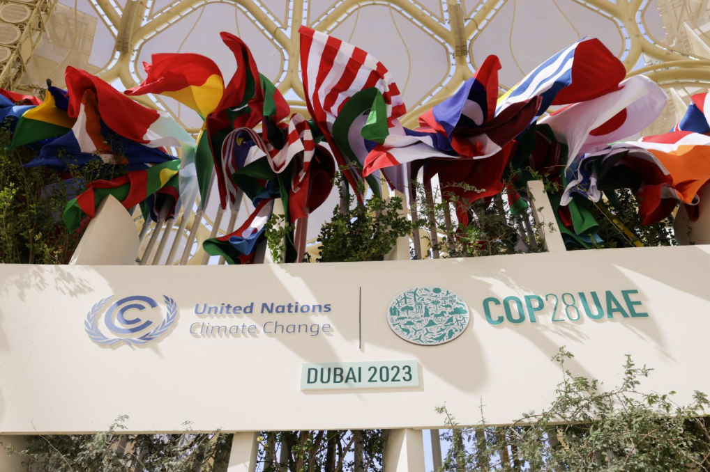 cop dubai