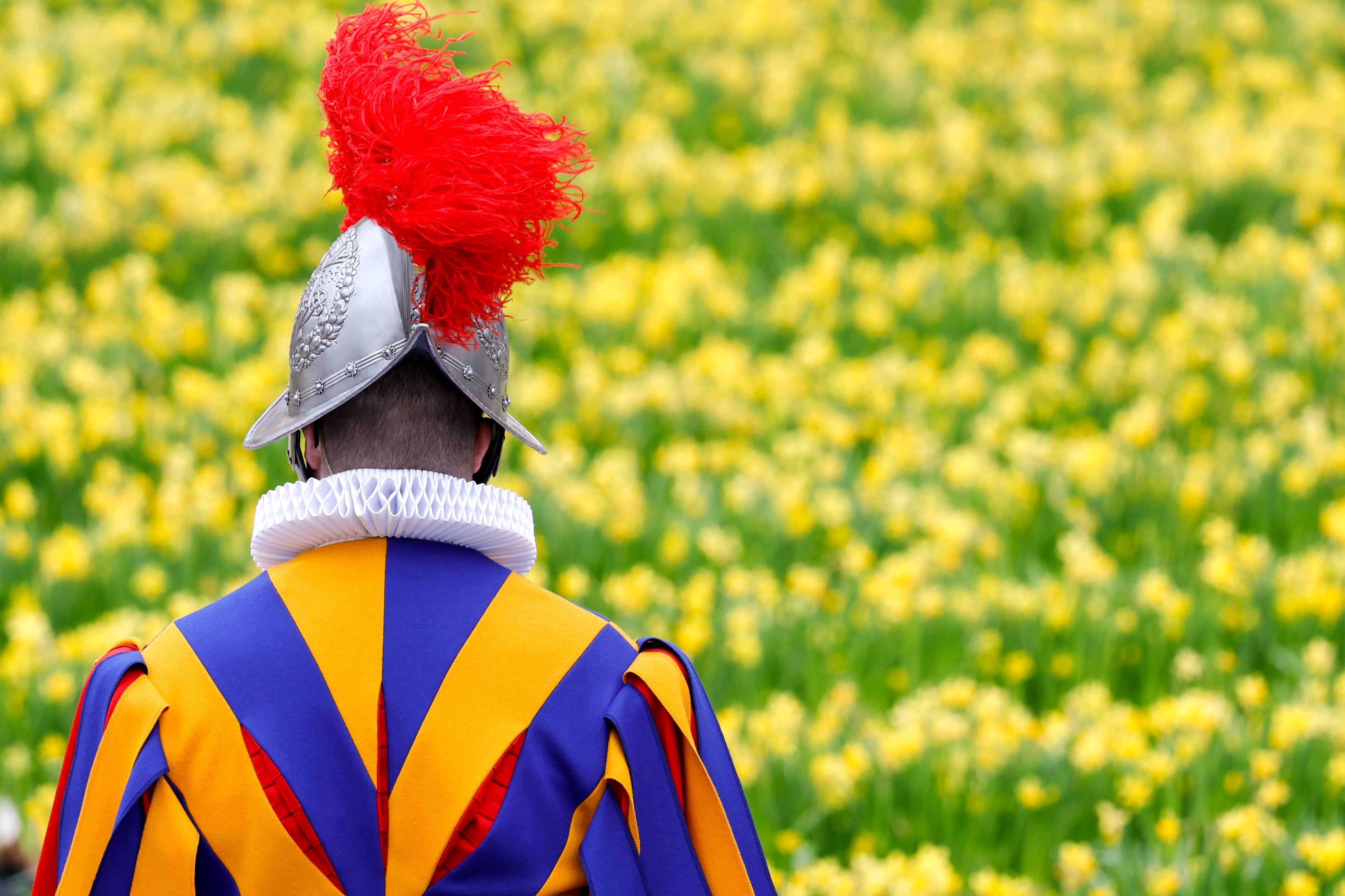 swiss guard