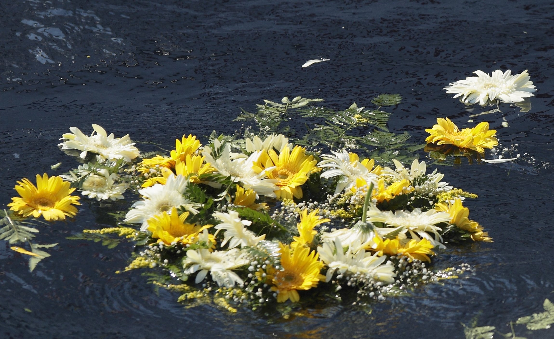 Flowers float in the Mediterranean in remembrance of migrants who drowned