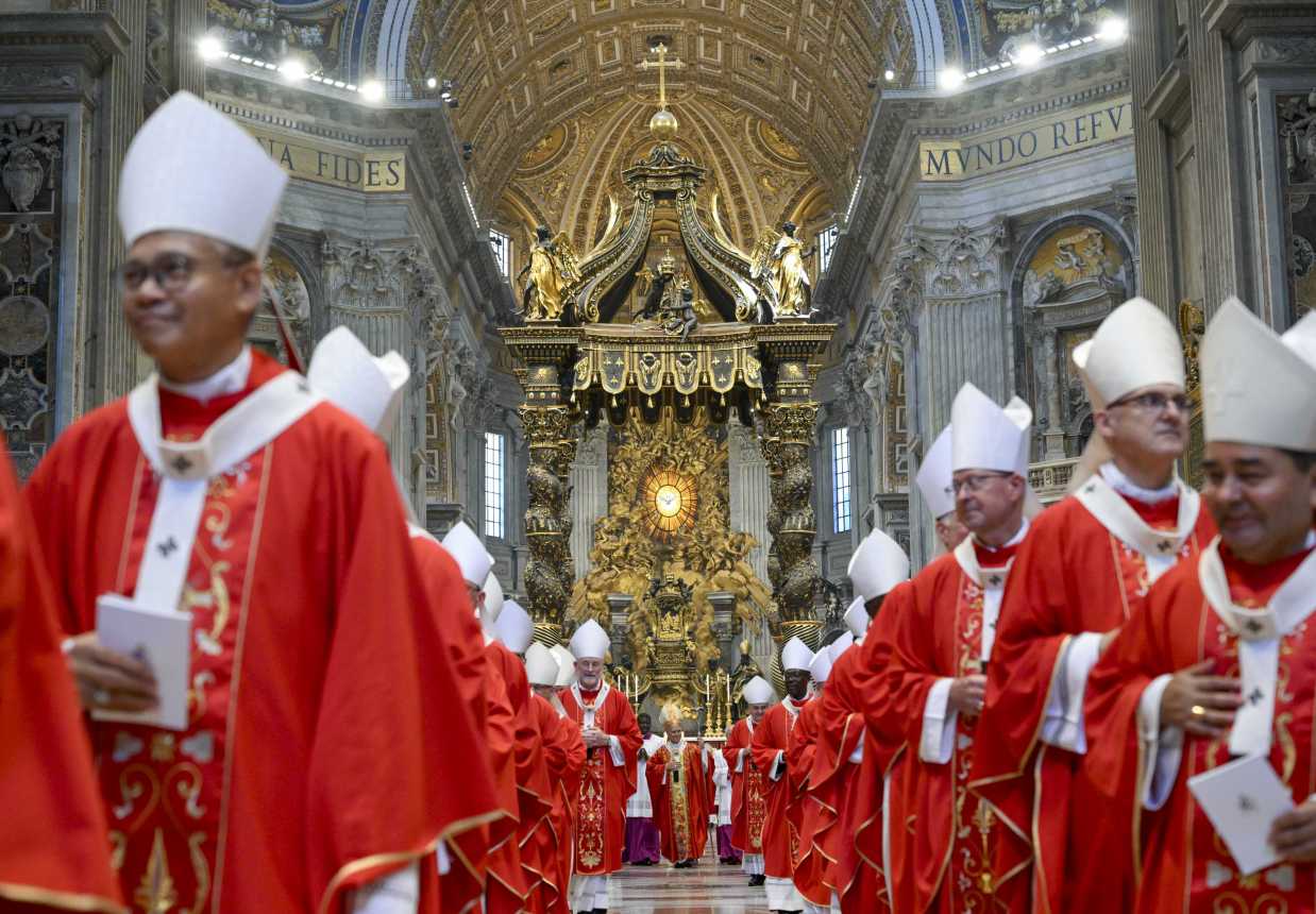 pallium