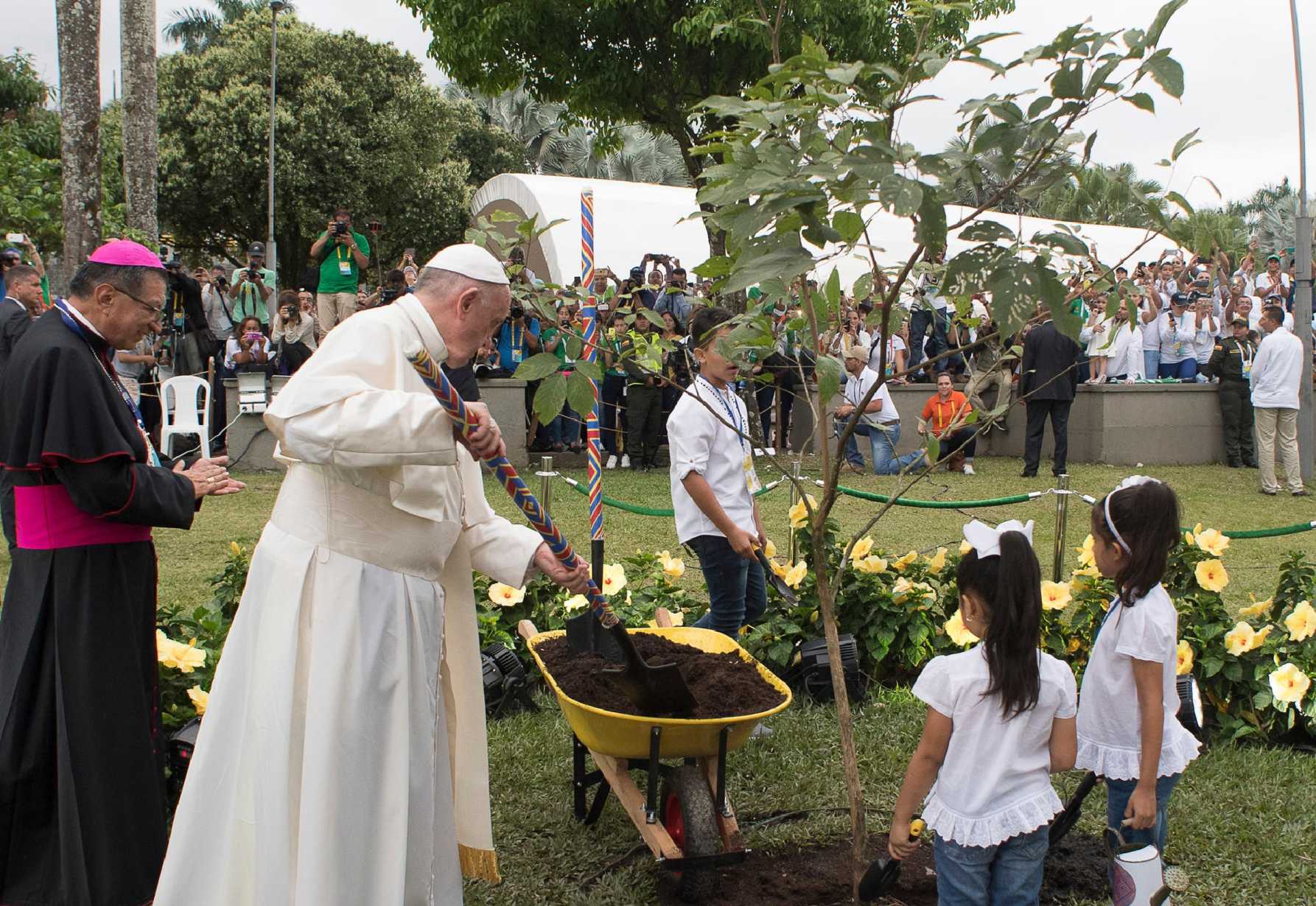 With Laudato Si', Pope Francis firmly planted ecology into Catholic social teaching