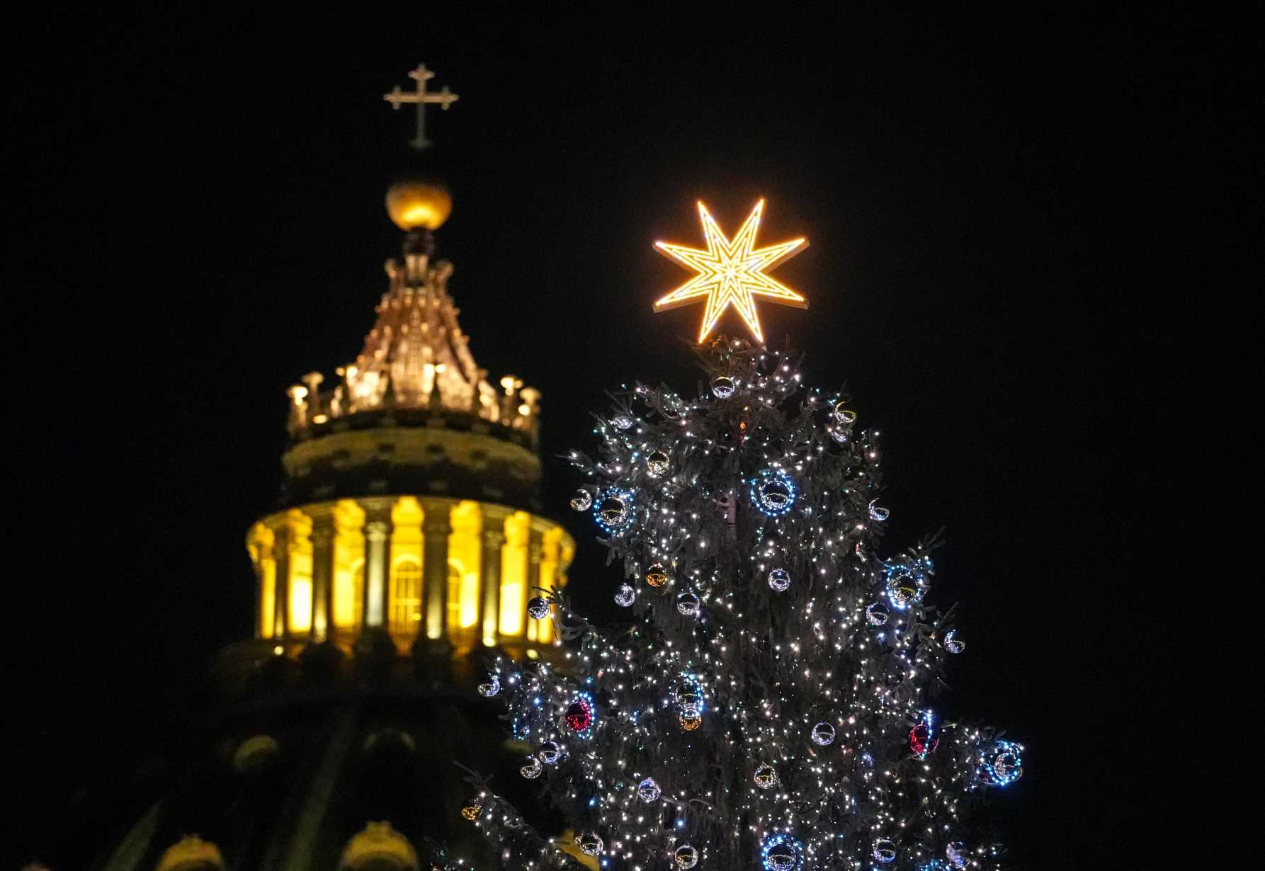 Christmas creche, tree are signs of hope, pope says