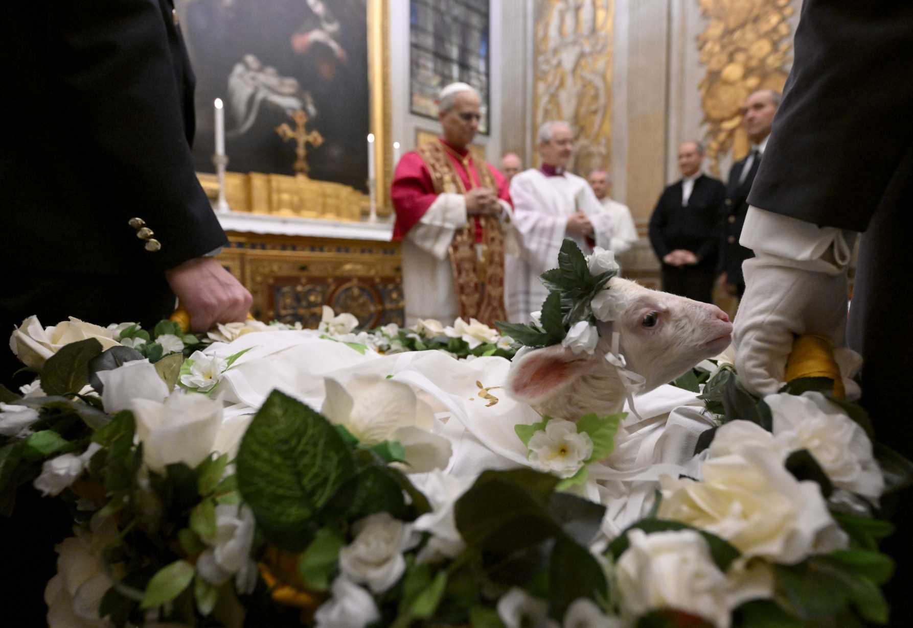 Pope blesses lambs during annual tradition on feast of St. Agnes
