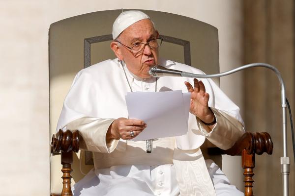 Pope Francis speaks at general audience.