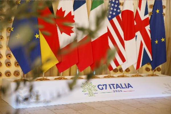 flags g7