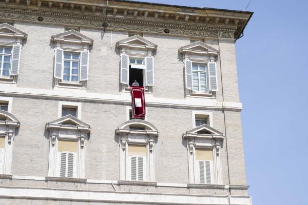 Pope Francis in the window of the Apostolic Palace