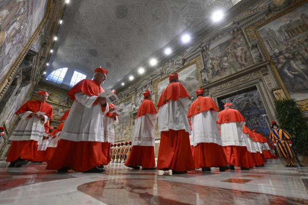 Cardinals enter the conclave