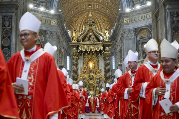 pallium