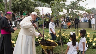 With Laudato Si', Pope Francis firmly planted ecology into Catholic social teaching