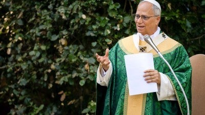 Pope prays for conversion of those resisting climate action at new Mass