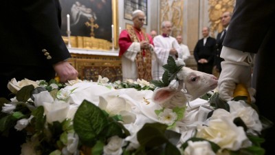Pope blesses lambs during annual tradition on feast of St. Agnes