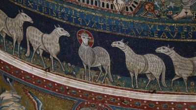 Feed my sheep: Why shepherding is an ideal internship for church leaders