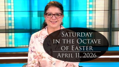 2026 04 11 Reflection 266