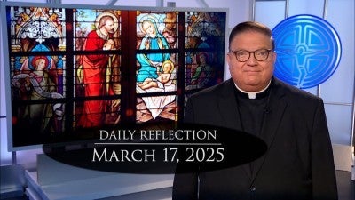 2025 03 17 Reflection 230
