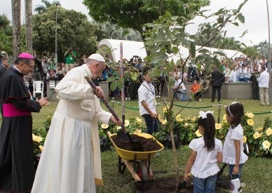 Destination Dubai: Pope heads to climate conference to press for action