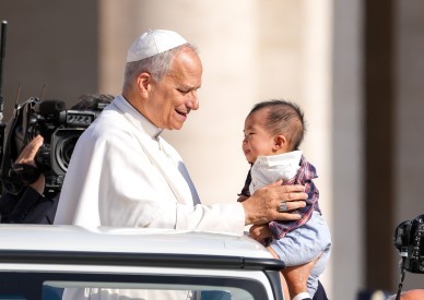Relentless effort, quick action are not always the answer, pope says