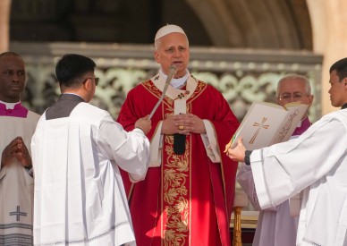 'Lay down your weapons,' pope says in Palm Sunday Mass, calling for peace