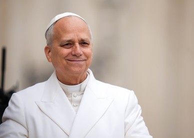 All Catholics share in Church’s mission, not just clergy, pope says