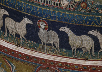 Feed my sheep: Why shepherding is an ideal internship for church leaders