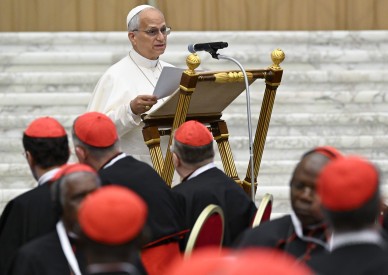 Pope Leo tells cardinals war is 'never blessed by God'