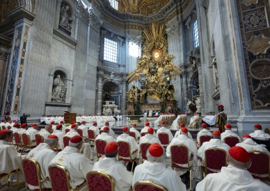 Cardinals describe candid discussions on war, synodality at Pope Leo's consistory