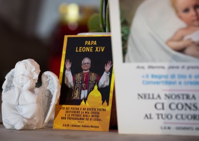 Cancerous tumor removed from Pope Leo's lung, Vatican says