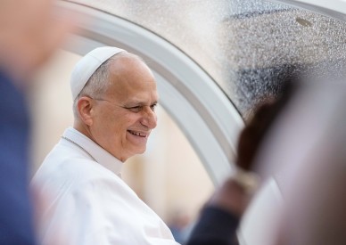 Protecting marriage more urgent than ever, pope says after surgery
