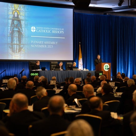 Plenary Assembly