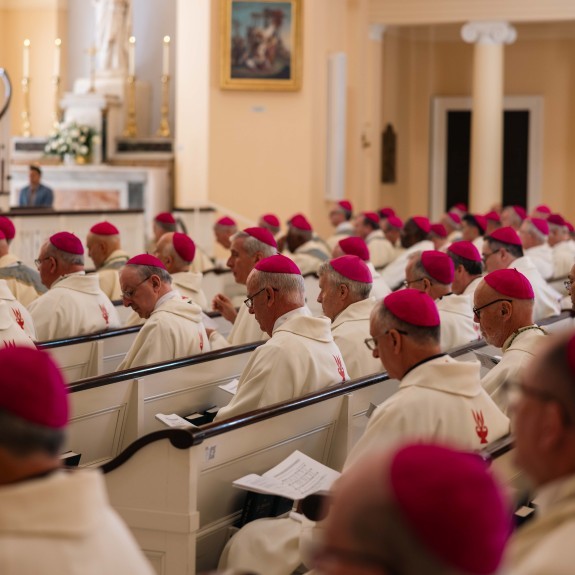 Bishops at Plenary
