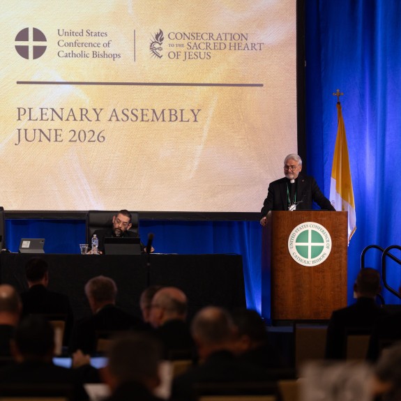 Plenary Assembly