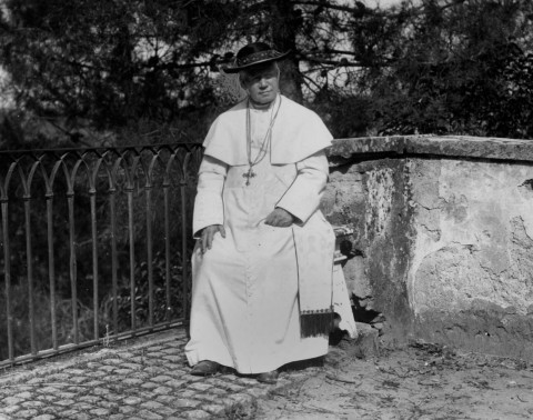 pius x